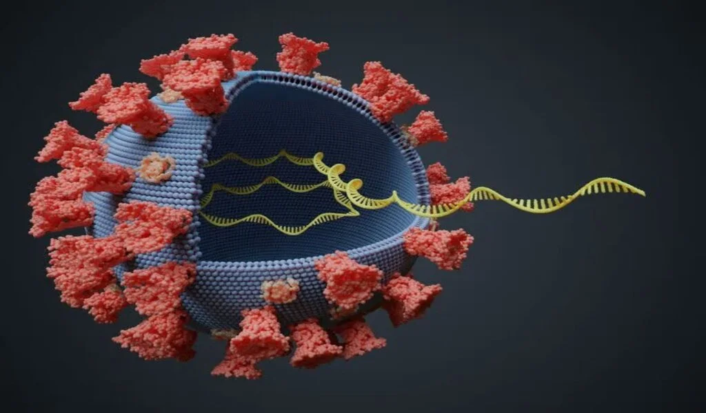 MicroRNA - What is it and how does it work?