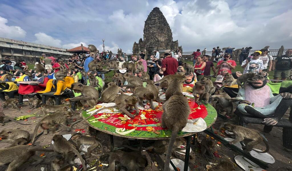 Thailand's Monkeys Celebrate Their Day With Feasts