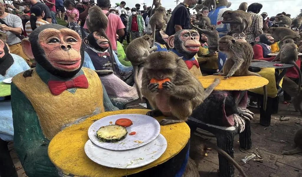 Thailand's Monkeys Celebrate Their Day With Feasts
