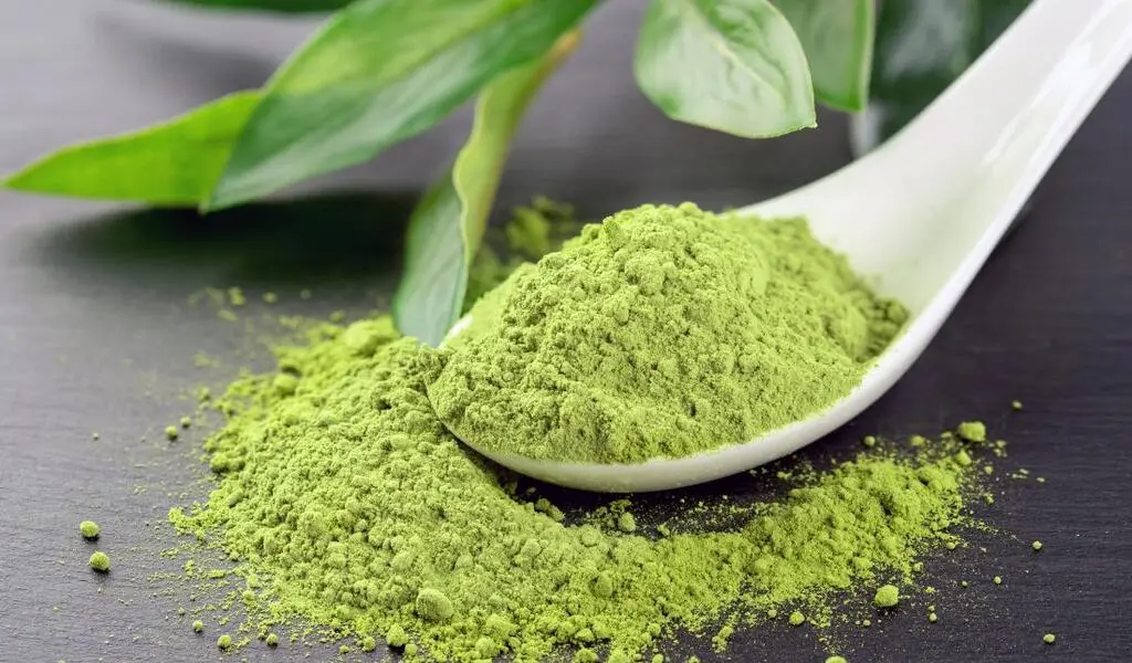 What Is Matcha Powder And How To Use It?