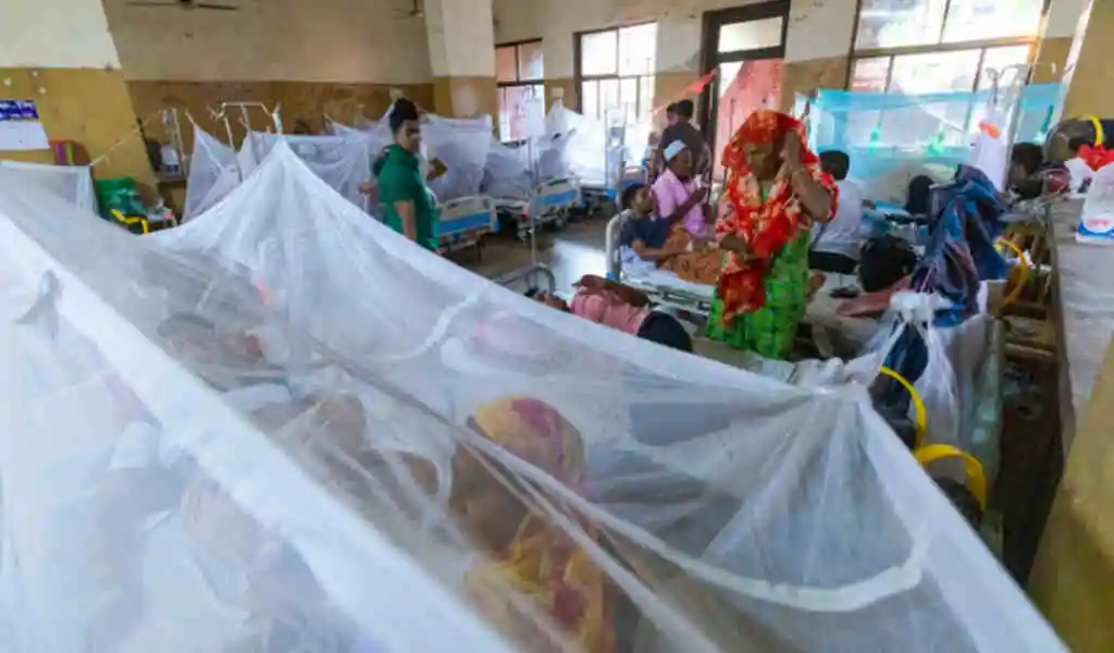 Dengue Kills 5 People In 24 Hours