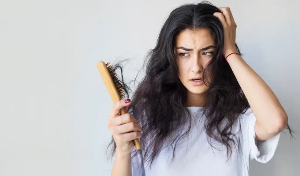 How Much Hair Should You Lose Normally In A Day?