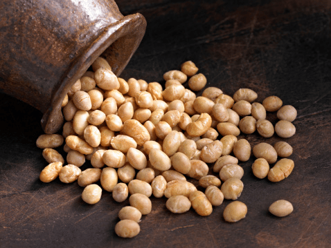 How Soy is Beneficial For Animal Nutrition