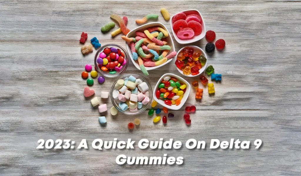 2023: A Quick Guide On Delta 9 Gummies