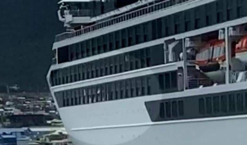 A Giant Wave Kills 1 And Injures 4 On The New Antarctic Cruise Ship
