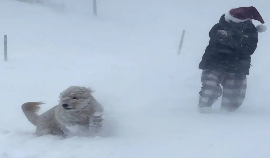 Blizzard In Buffalo, New York, Area Kills 13 People