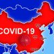 Chinese Journalist Reveals17.65 Percent of China's Population Has Covid-19