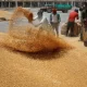 COVID-era Free Food Program Replaced With A Cheaper One In India