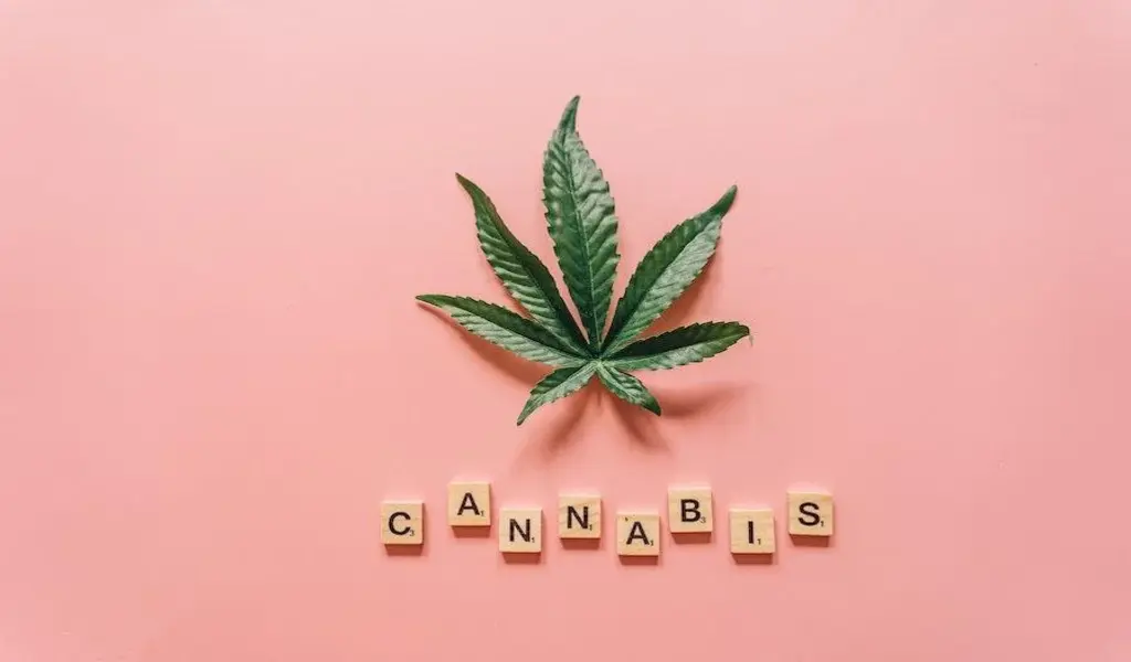Cannabis Market Forecast 5 Top Trends That Will Affect Cannabis in 2023