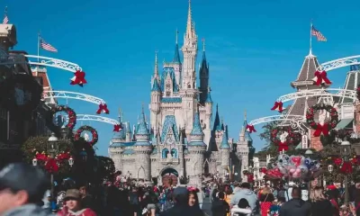 Reasons Orlando Should Be Your Next Holiday Destination