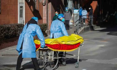 Airfinity Reveals 5,000 a Day Dying from Covid-19 in China