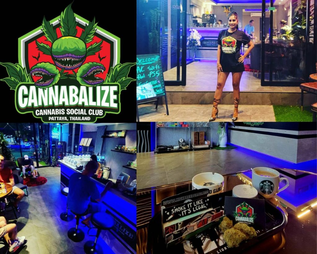 Cannabis in Pattaya