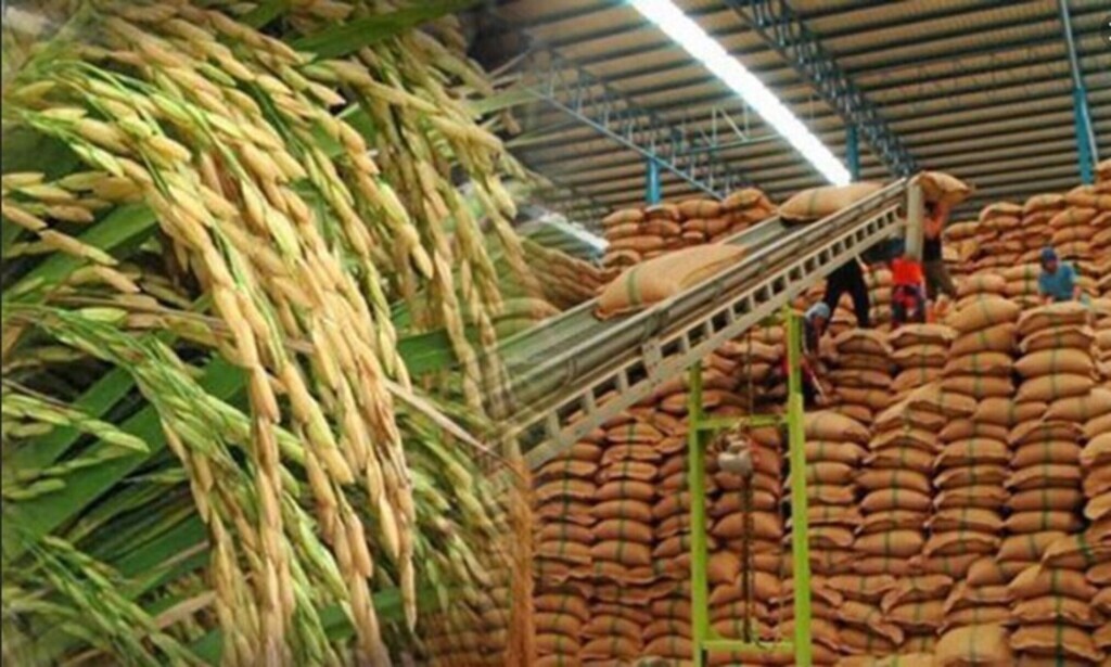 Thailand's Rice Exports Hit a 4-Year High
