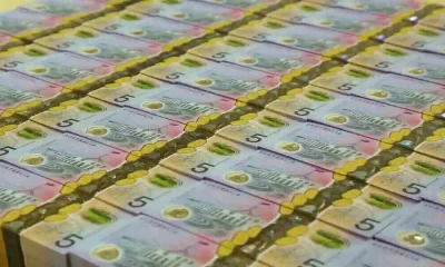 Australian Dollar Holds Firm Despite Robust Data