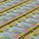 Australian Dollar Holds Firm Despite Robust Data