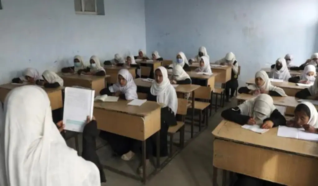 Afghan Taliban Allow Girls To At