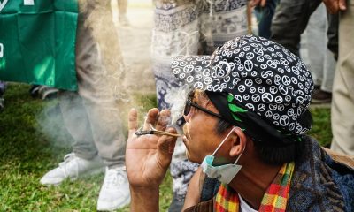 Cannabis Use Surge in Thailand