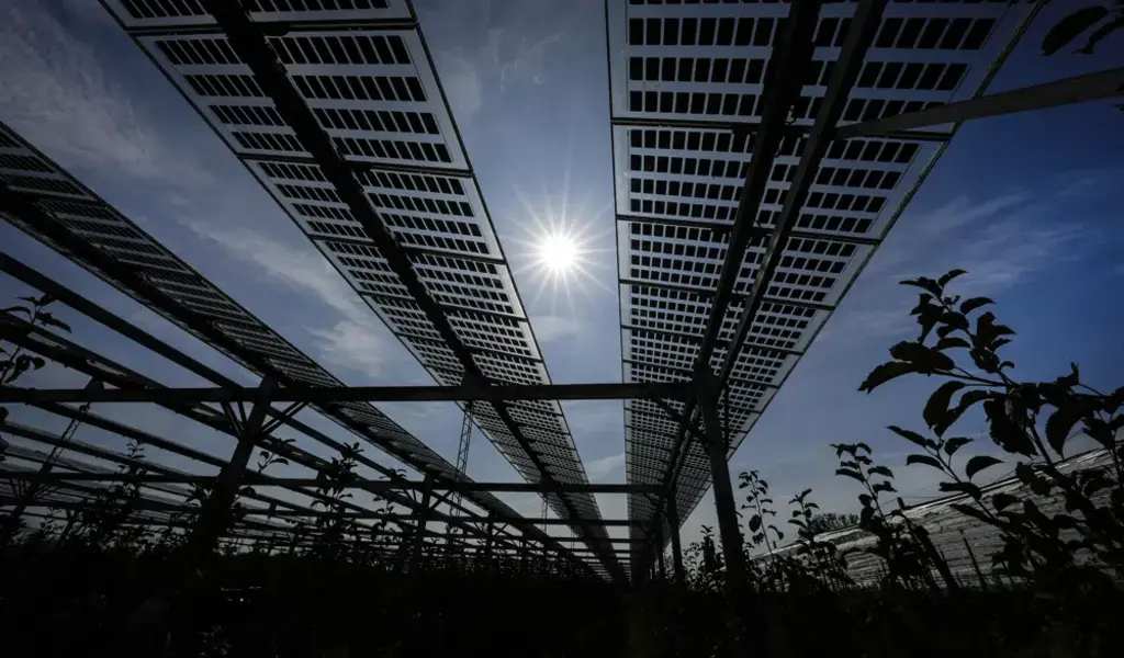 Korean firm plans $2.5B in new solar panel plants in Georgia