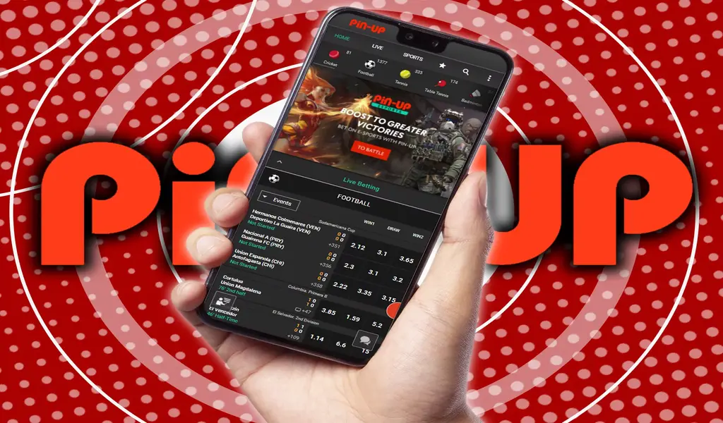 Pin-Up Bet App Review for India