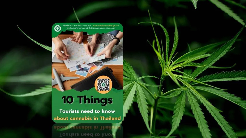 Thailand Issues 10 Step Guide on Cannabis to Tourists