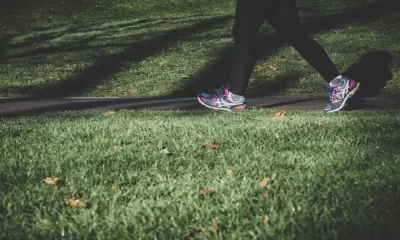 What You Should Look for When Buying Road Running Shoes