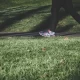 What You Should Look for When Buying Road Running Shoes