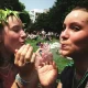 Young People are Ditching Alcohol For Marijuana, New Report Finds 245% Increase