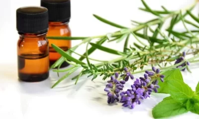 Your Top Questions About Peppermint Oil, Answered