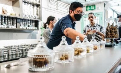 Thailand to Require ID Cards to Purchase Cannabis