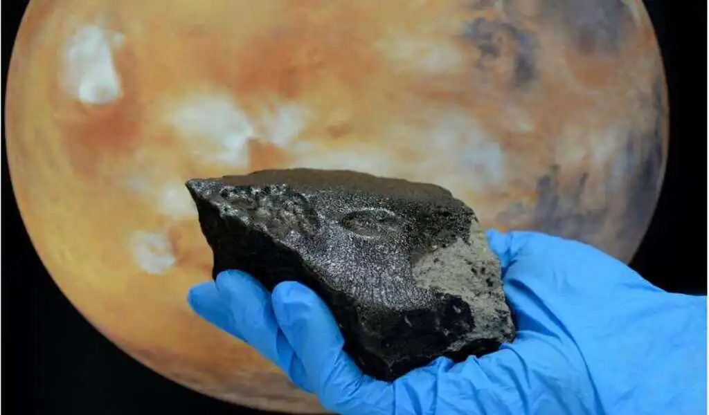 The Martian Meteorite Contains a Lot Of Organic Stuff