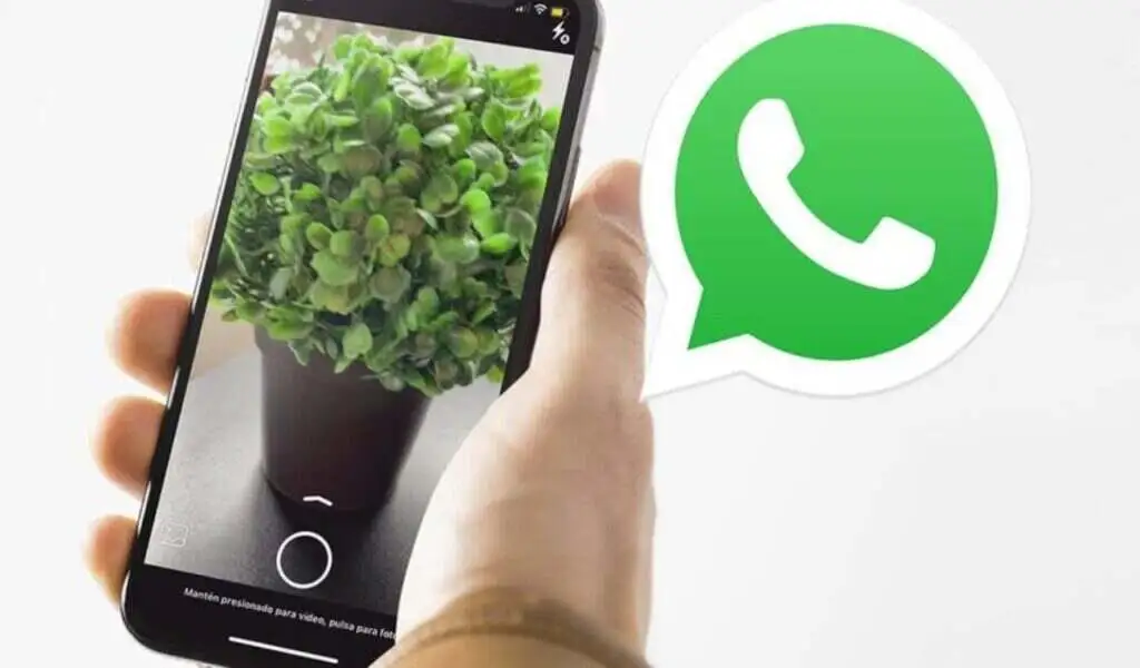 Soon, WhatsApp Will Have a Camera And Photo Editing Feature