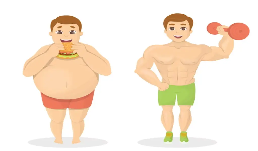 3 Tips Men Can Adopt to Get Rid of Stubborn Fat Faster