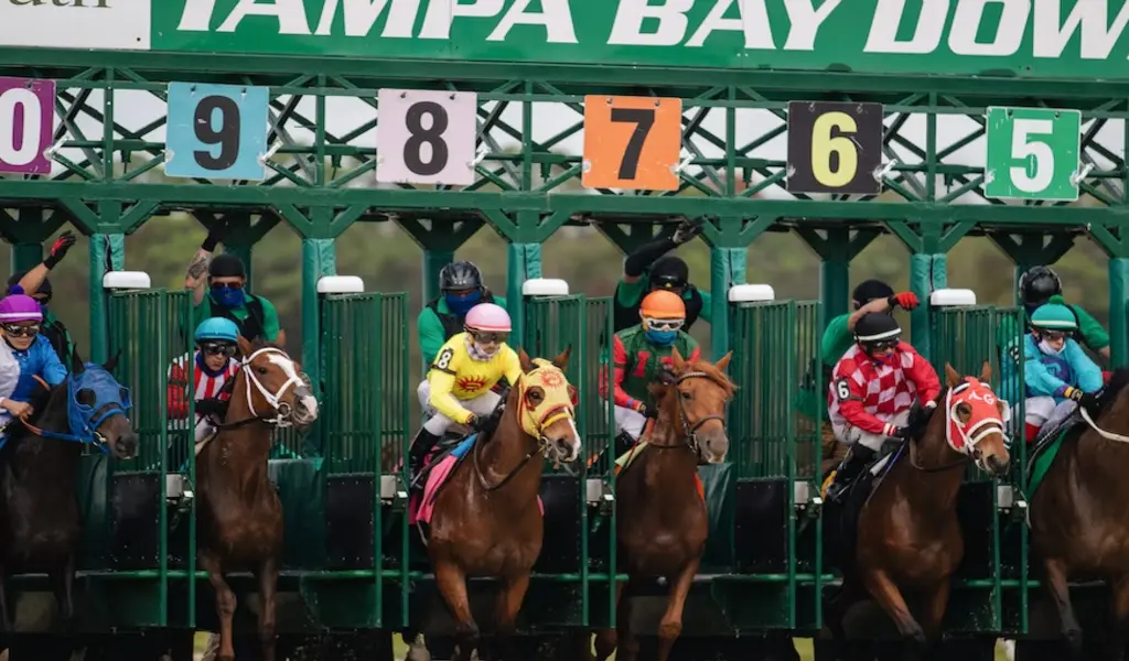 8 Common Horse Racing Terms You Might be Unfamiliar With