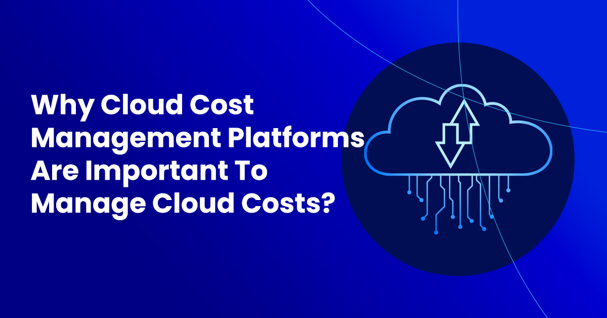 Cloud Cost Management Platforms