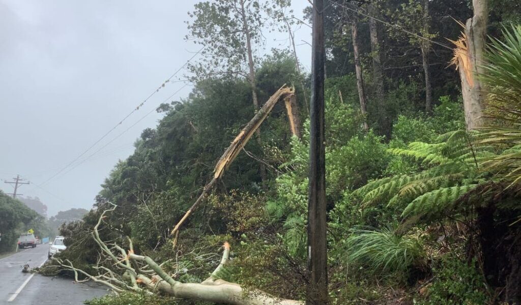 Cyclone Gabrielle hits New Zeala 1 1