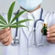 Medical Cannabis Clinics in Thailand Exploring the Benefits of Cannabis in Thai Herbal Medicine