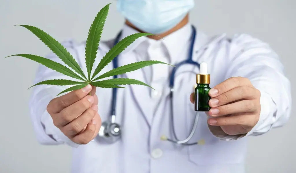 Medical Cannabis Clinics in Thailand Exploring the Benefits of Cannabis in Thai Herbal Medicine