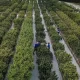 Miracle-Gro Subsidiary Sues Over Alleged Sabotage of $175M Cannabis Interest