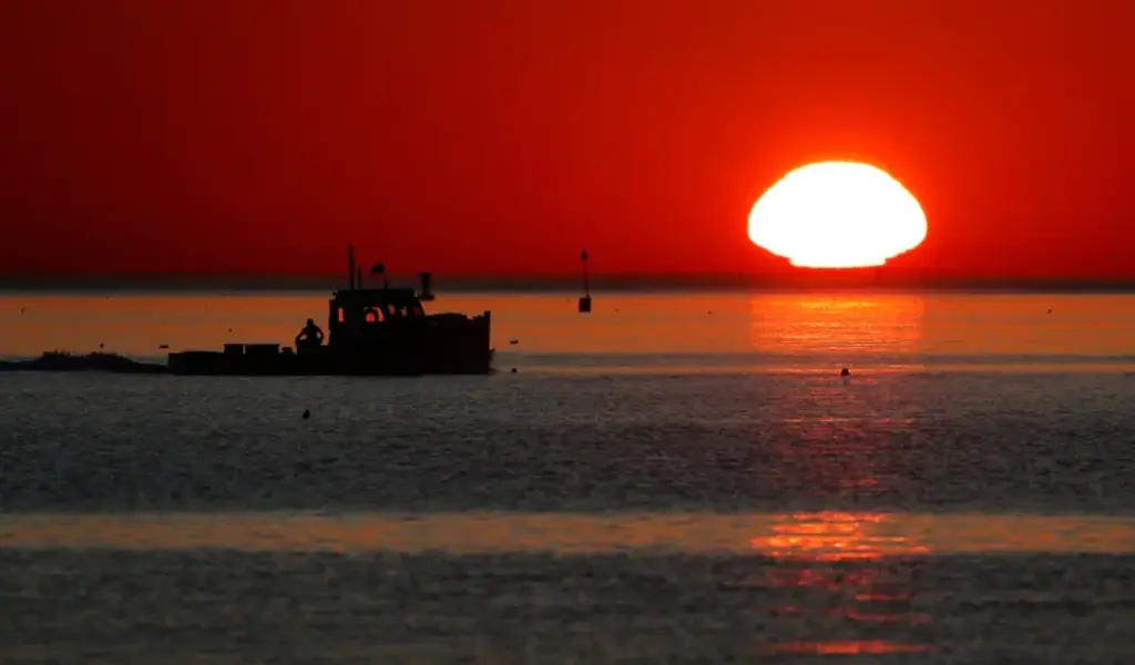 Gulf of Maine Recorded Its 2nd Warmest Year Ever in 2022