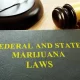 The 2023 U.S. Cannabis Policy Reform Horizon