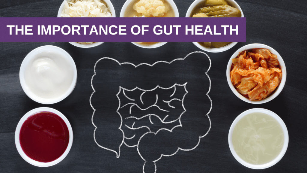 The Importance of Gut Health