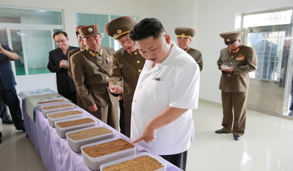 The North Korean food shortage s