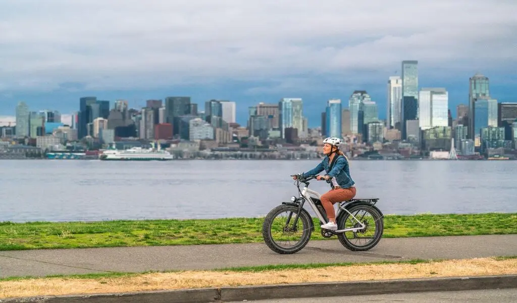 What Is The Advantage Of Fat Tires On An Electric Bike?