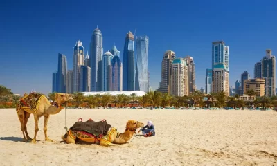 What Makes Dubai A Family-friendly Destination?