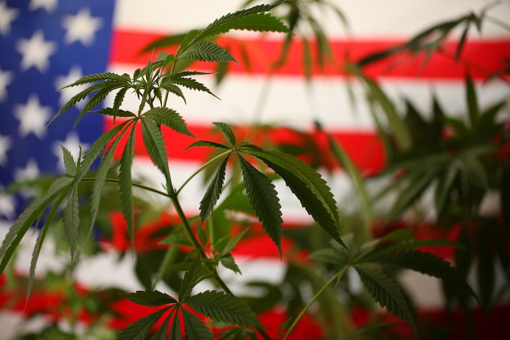 states legalized marijuana