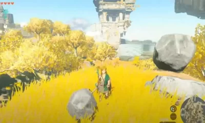 In Zelda: Tears Of The Kingdom, Weapons Will Break