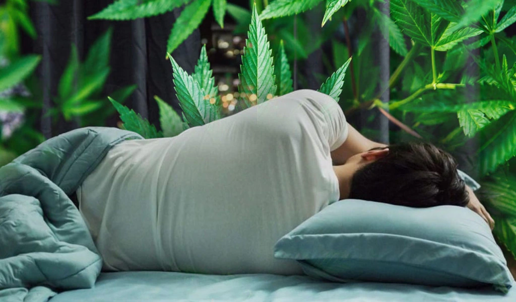 Can Cannabis Help With Sleep What Experts Say and Precautions to Consider