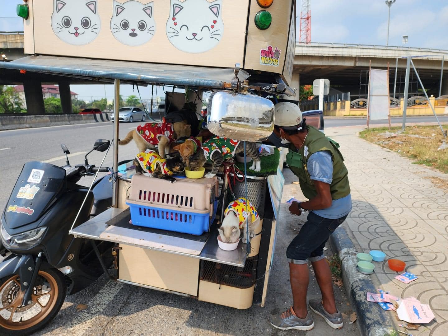 Cat Lovers Praise Thai Man Traveled 300Km With 11 Cats in Sidecar