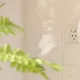 Easy Ways to Make Your Home Smart With Smart Plug
