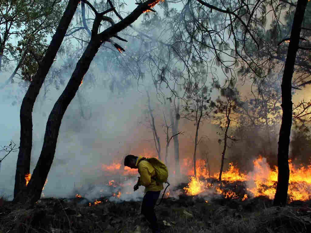Forest Fires in Northern Thailand Worsening PM2.5 Air Quality